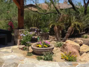 Desert-style backyard landscaping featuring large planters with colorful flowers, small palm trees, and rock formations under a wooden pergola.