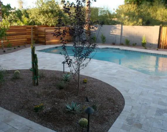 Beautiful backyard with a custom swimming pool, travertine deck, and desert landscaping featuring cacti and a young tree, surrounded by a wooden privacy fence.