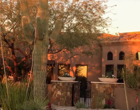 Close-up view of desert landscaping at sunset featuring a large cactus and native plants in front of a house with stone pillars and a gate.