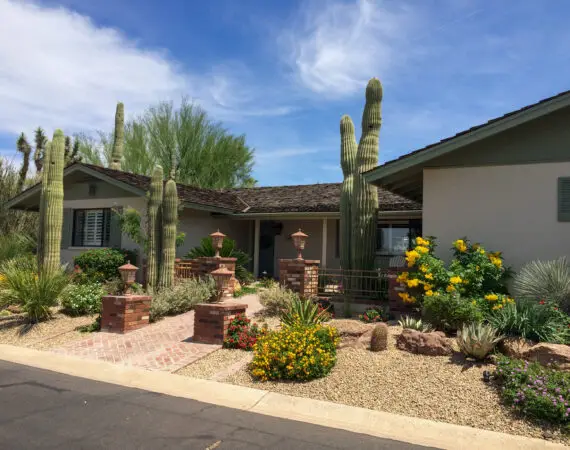 Front yard landscaping of a suburban home featuring tall cacti, flowering shrubs, and brick pathway on a clear sunny day.