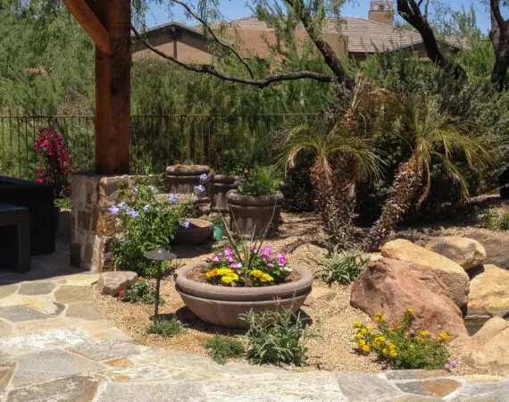 Desert-style backyard landscaping featuring large planters with colorful flowers, small palm trees, and rock formations under a wooden pergola.