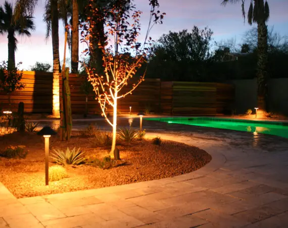 Backyard with a beautifully lit tree and a pool at dusk, featuring soft landscape lighting and a serene atmosphere.