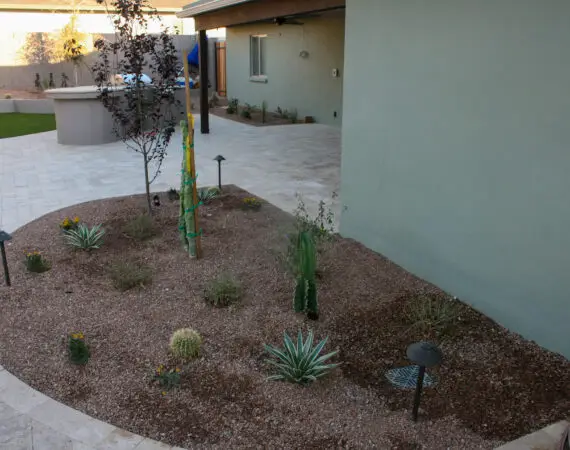 A desert-themed landscaped backyard with young plants and cacti, gravel mulch, and a paved patio area with outdoor lighting.