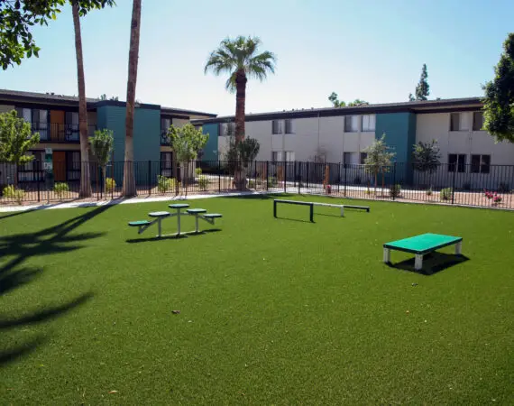 A fenced artificial turf area, a Dog Park, in a residential apartment complex, featuring a picnic table, exercise platforms, and a fire hydrant, surrounded by trees and apartment buildings.