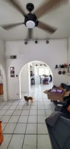 Hallway with white tile floors, arched doorways, and a ceiling fan. A small dog stands in the hallway, with a view of the kitchen and dining area in the background.