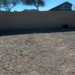 Unlandscaped backyard with gravel and minimal vegetation, enclosed by a block wall, ready for a transformation into a designed outdoor space.